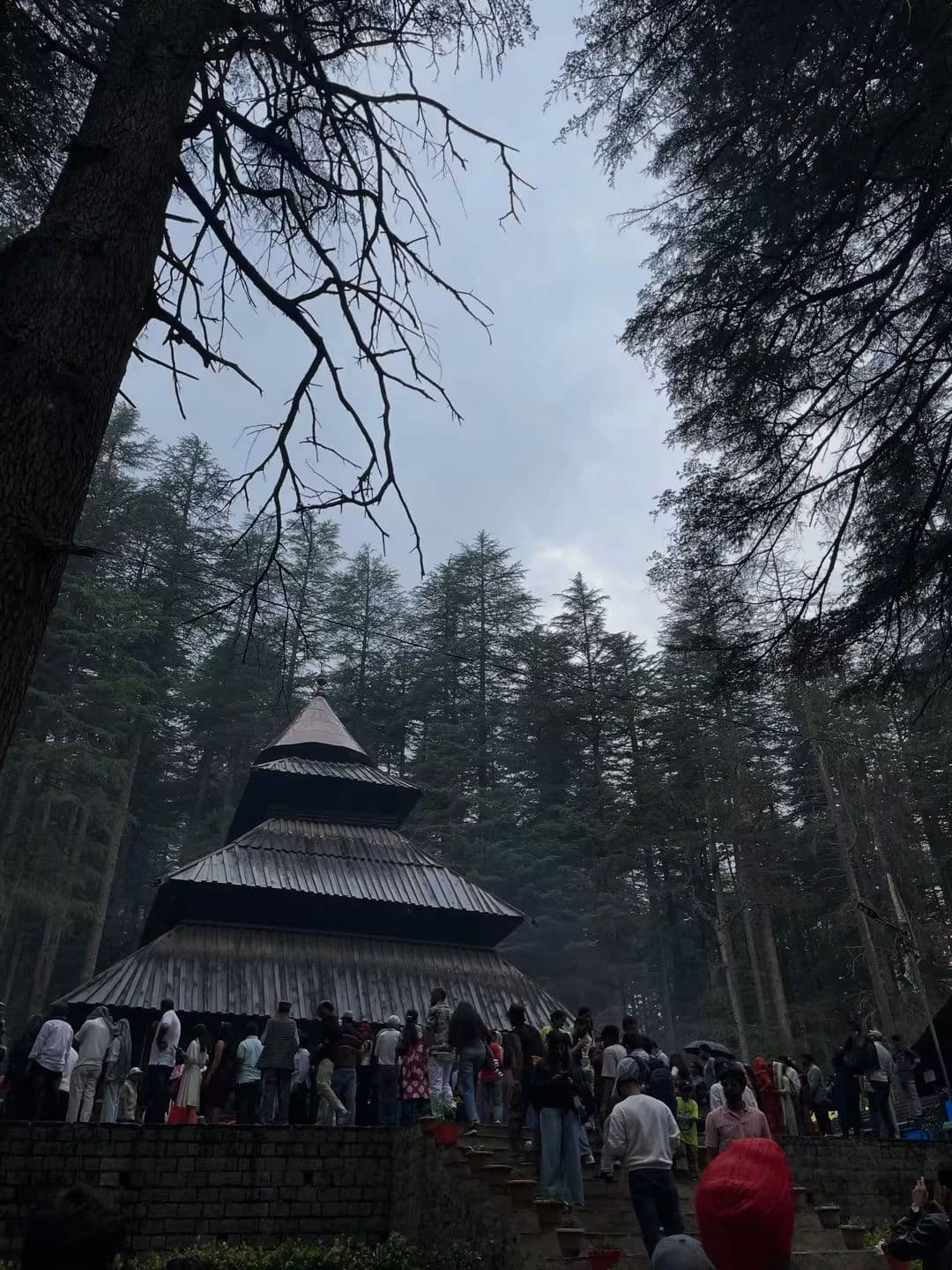 5-Day Manali Classic Escape (4 Nights / 5 Days) — photo 4