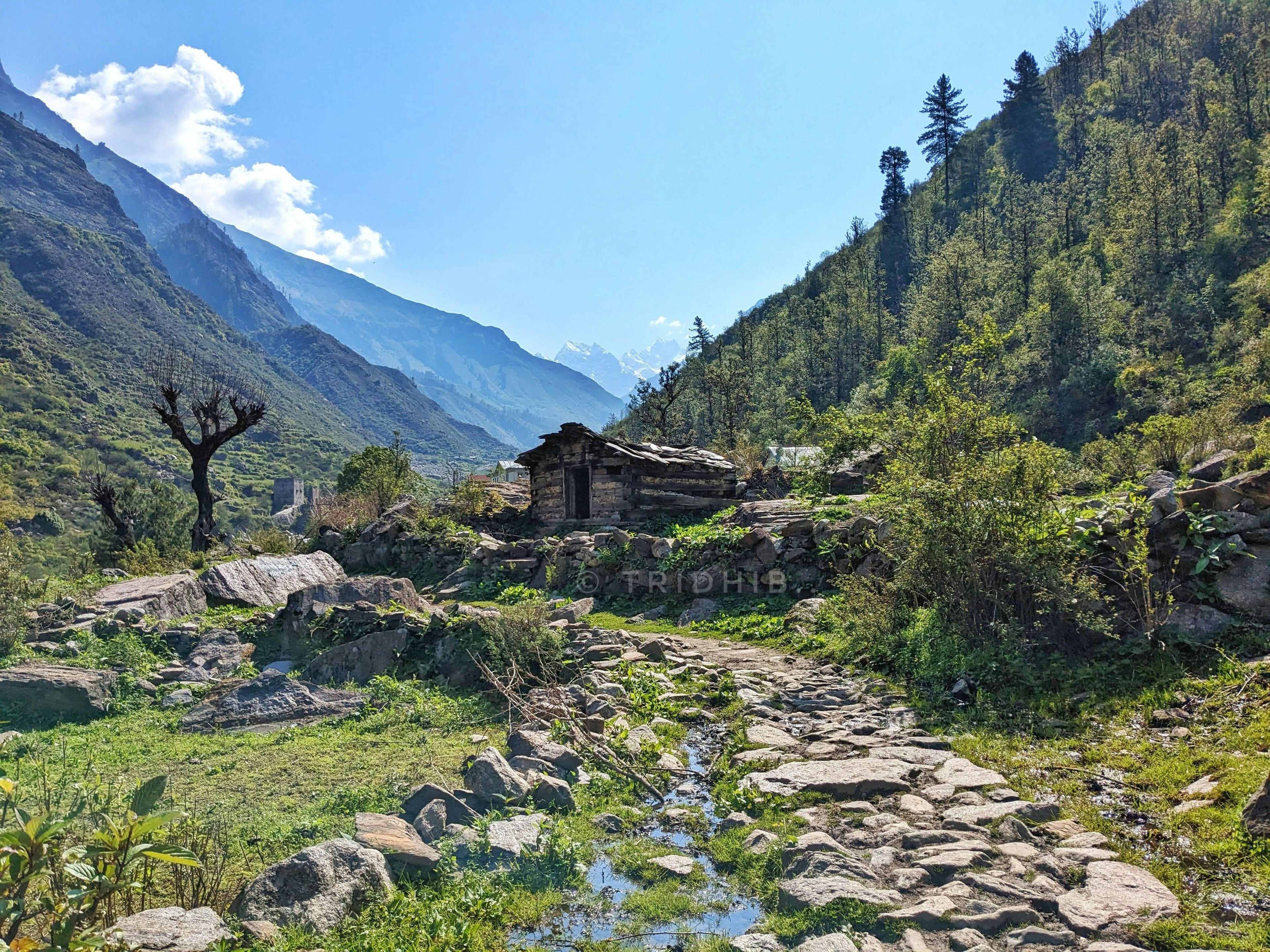 Har Ki Dun Trek — photo 5