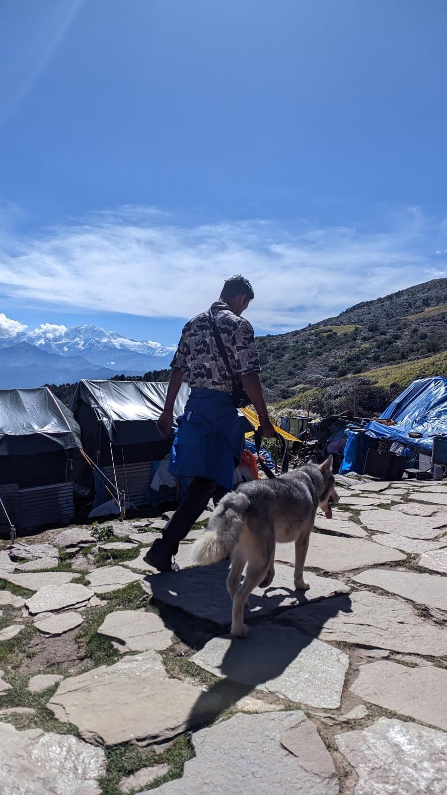 Rudranath Temple & Trek Guide: The Toughest Panch Kedar Trail — photo 4